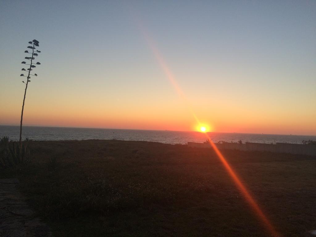 Vila Mar ポルト・コーヴォ エクステリア 写真